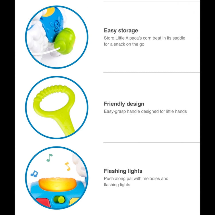 Push-Along Little Alpaca