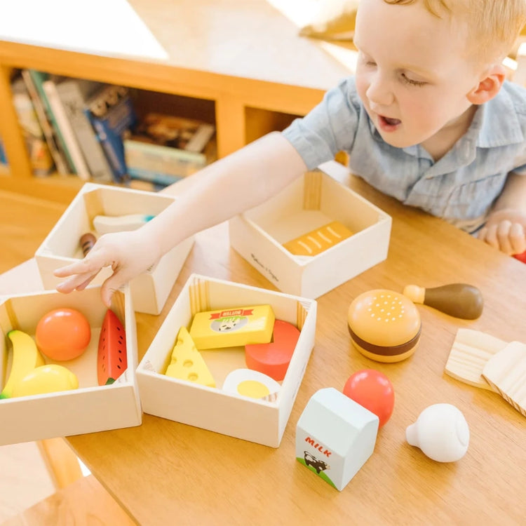 Food Groups- Wooden Play Food