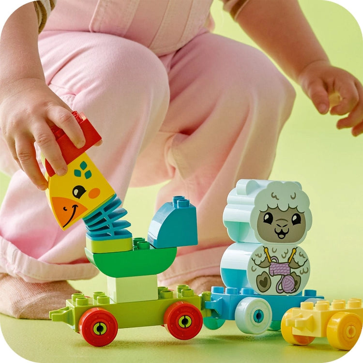 Animal Train - 19 Pcs