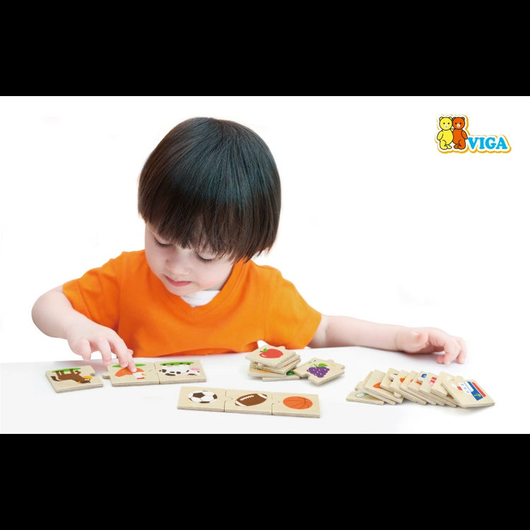 Categorizing Wooden Puzzle Set