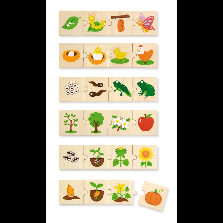 Growing Puzzle Set