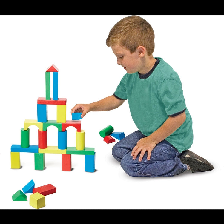 Wood Blocks Set- 100 Pcs