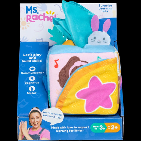 Ms. Rachel Surprise Learning Box