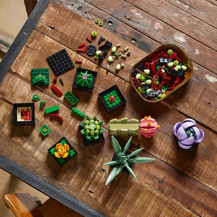Succulents- 771 pieces (Rare Edition)