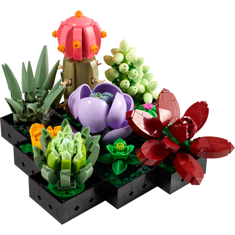 Succulents- 771 pieces (Rare Edition)