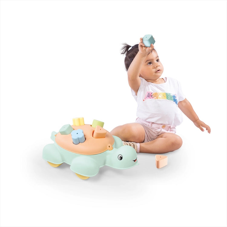 Turtle Shape Sorter (New)- 5 Pcs