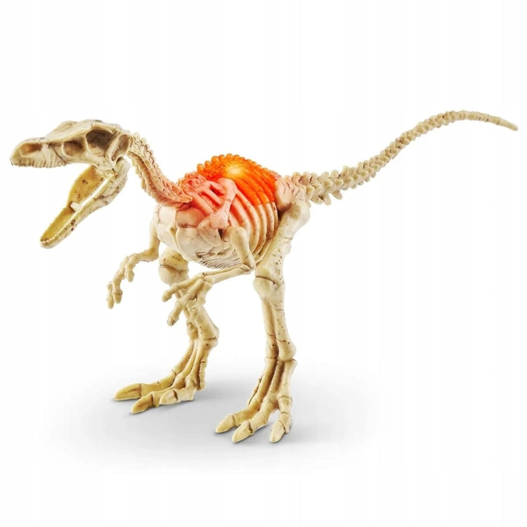 Robo Alive Dino Fossil Find Mini Surprise Egg Series 1 Asst.- 6 Pcs- PDQ