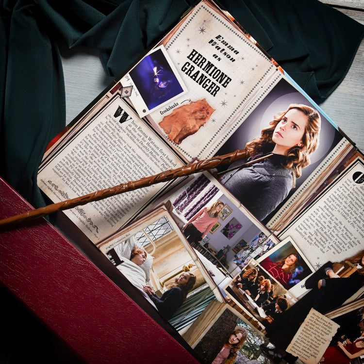 Wizarding World- Hermione Granger's Wand
