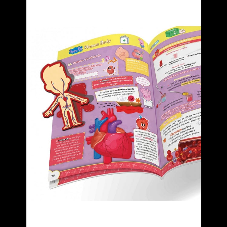 Peppa Pig- The Human Body