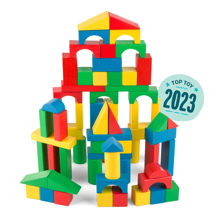 Wood Blocks Set- 100 Pcs