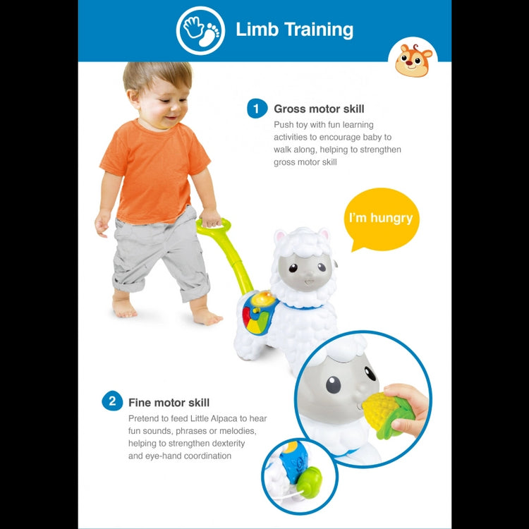 Push-Along Little Alpaca