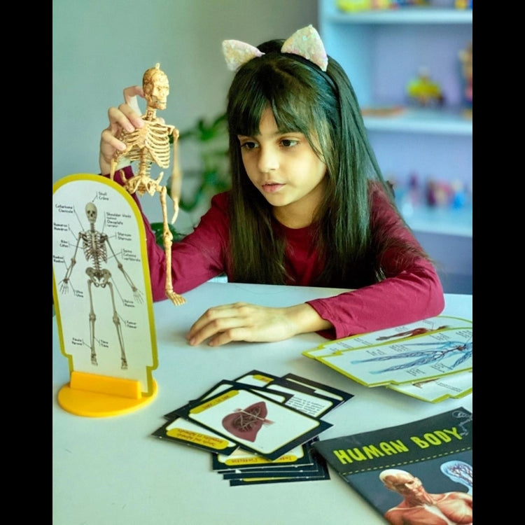 I'm A Genius Human Body