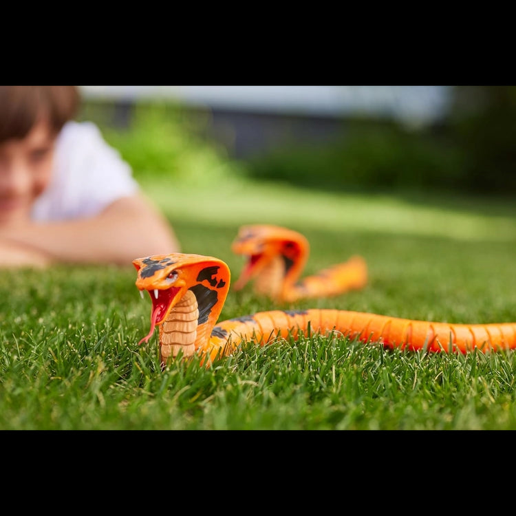 Robo Alive King Cobra