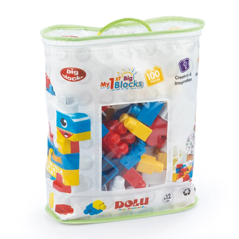 My 1st Big Blocks- 100 Pieces