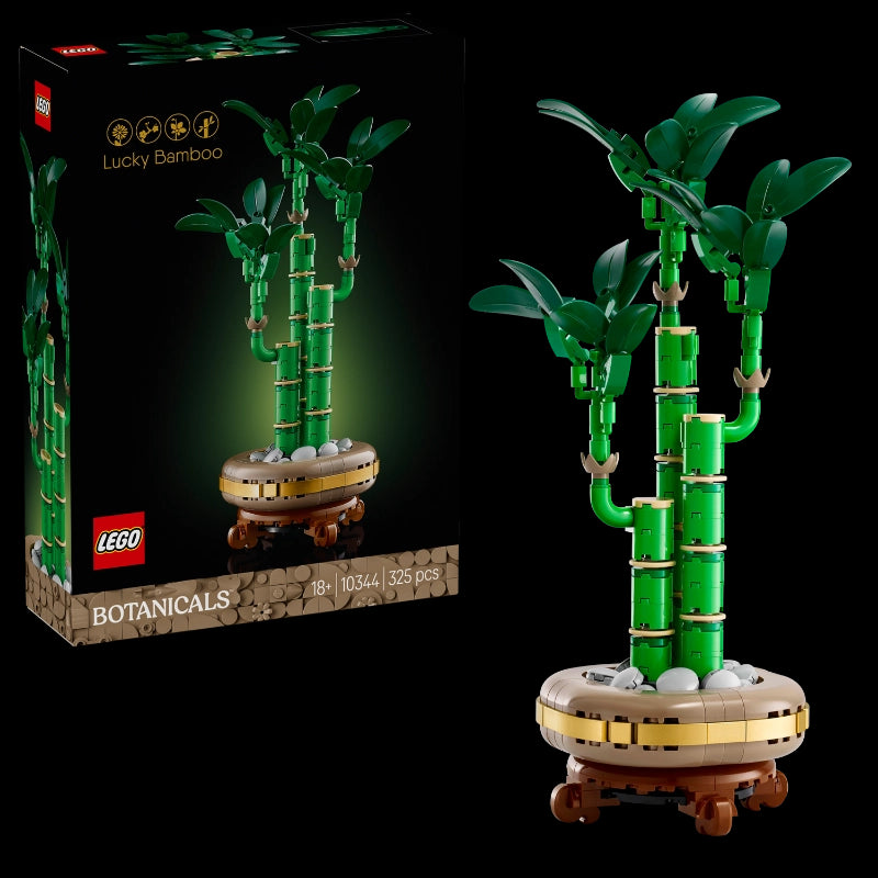 Lucky Bamboo- 325 Pcs