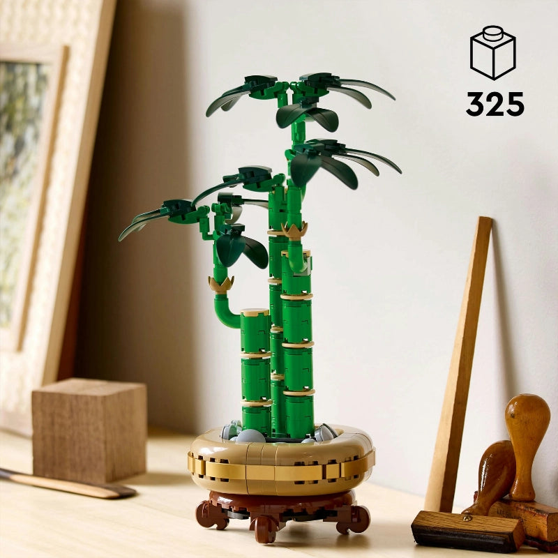 Lucky Bamboo- 325 Pcs