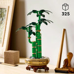 Lucky Bamboo- 325 Pcs