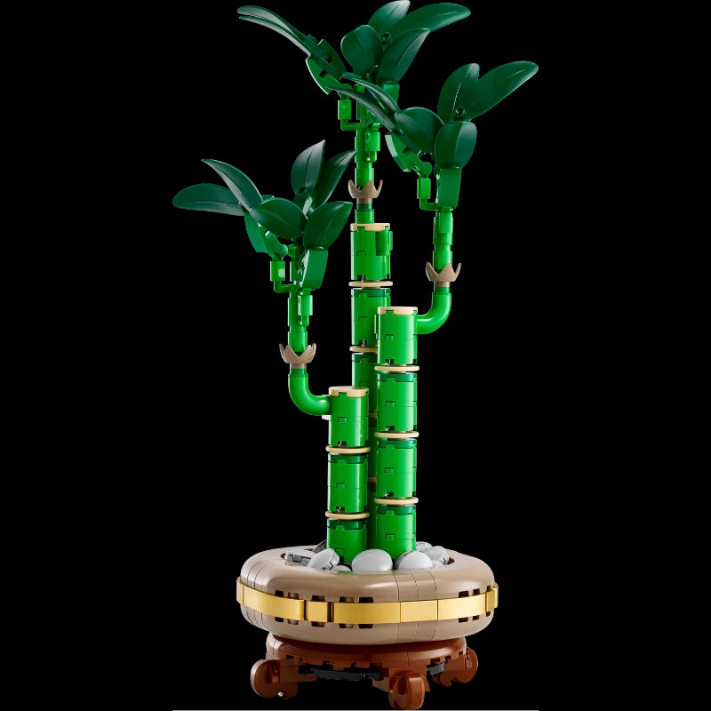 Lucky Bamboo- 325 Pcs