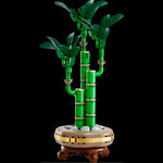 Lucky Bamboo- 325 Pcs