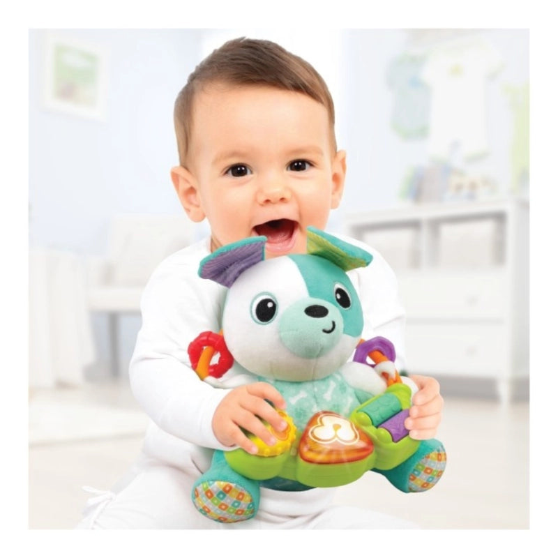 Play-with-Me Puppy