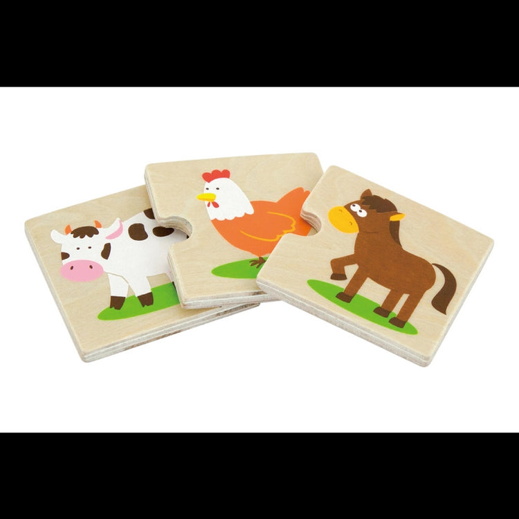 Categorizing Wooden Puzzle Set