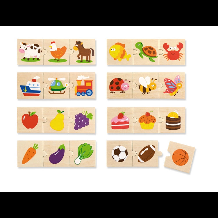 Categorizing Wooden Puzzle Set
