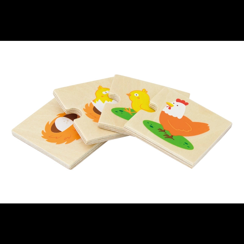 Growing Puzzle Set