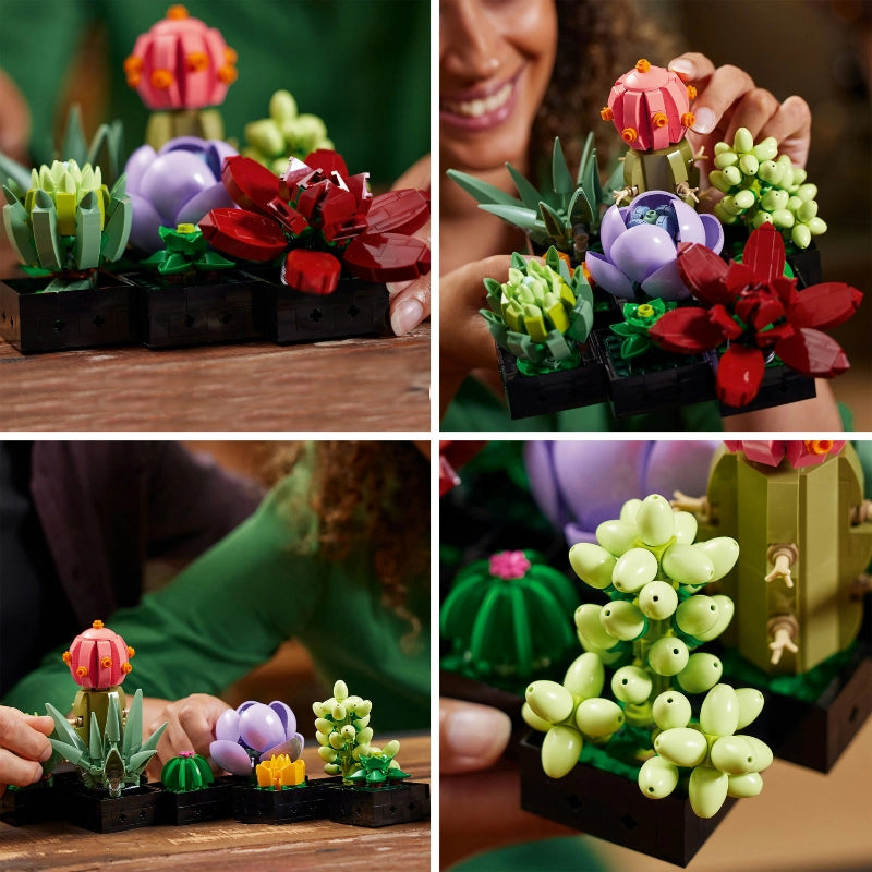 Succulents- 771 pieces (Rare Edition)