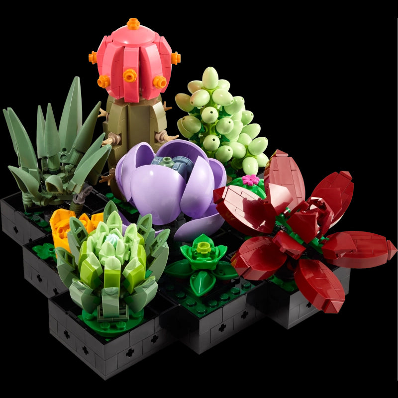 Succulents- 771 pieces (Rare Edition)