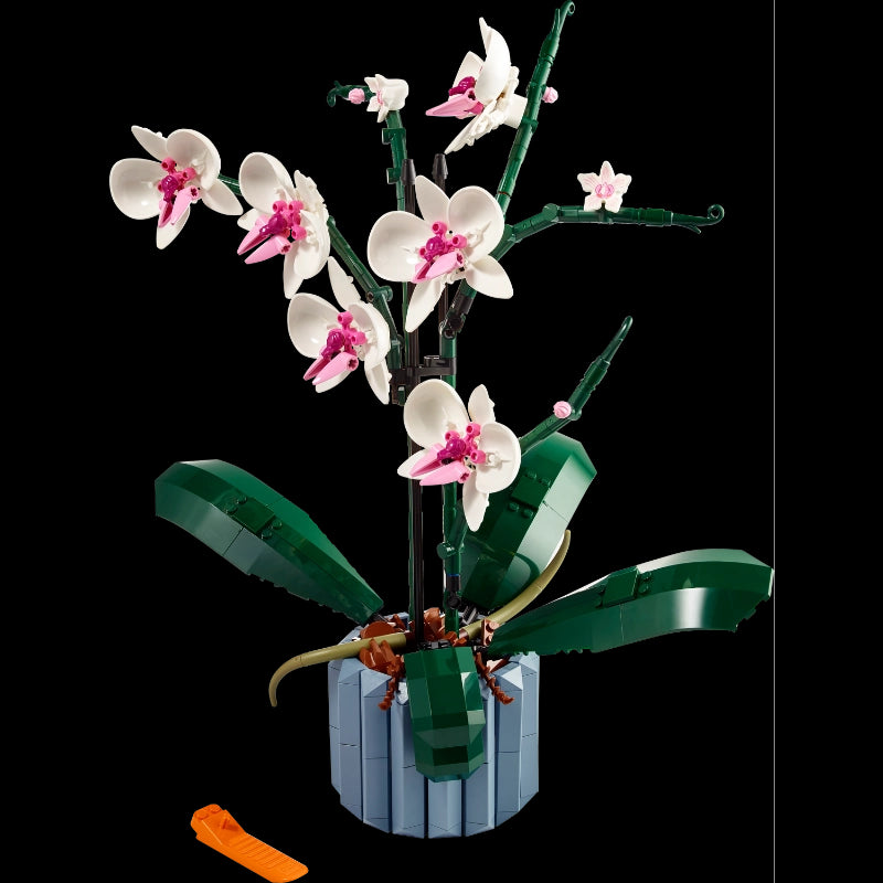 Orchid- 608 Pcs