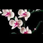 Orchid- 608 Pcs