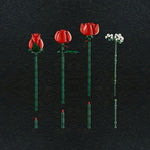 Bouquet of Roses- 822 Pcs