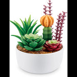 Mini Brands Botanical Garden Series 1- 25 Pcs- PDQ
