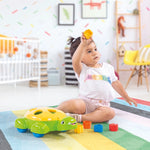 Turtle Shape Sorter