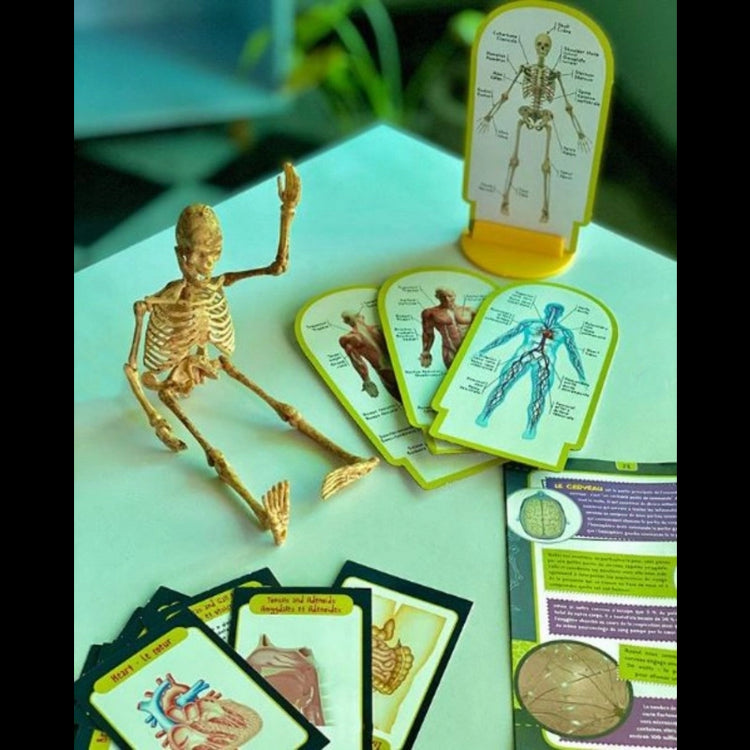 I'm A Genius Human Body